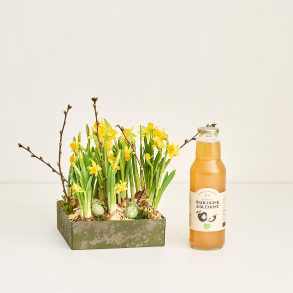 Forårsskål med téte a téte med F&E æblemost